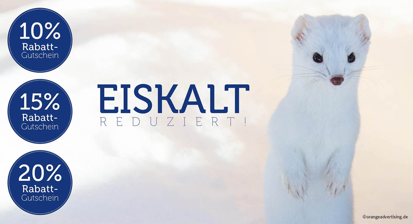 Mailing Eiskalt reduziert mit Wiesel