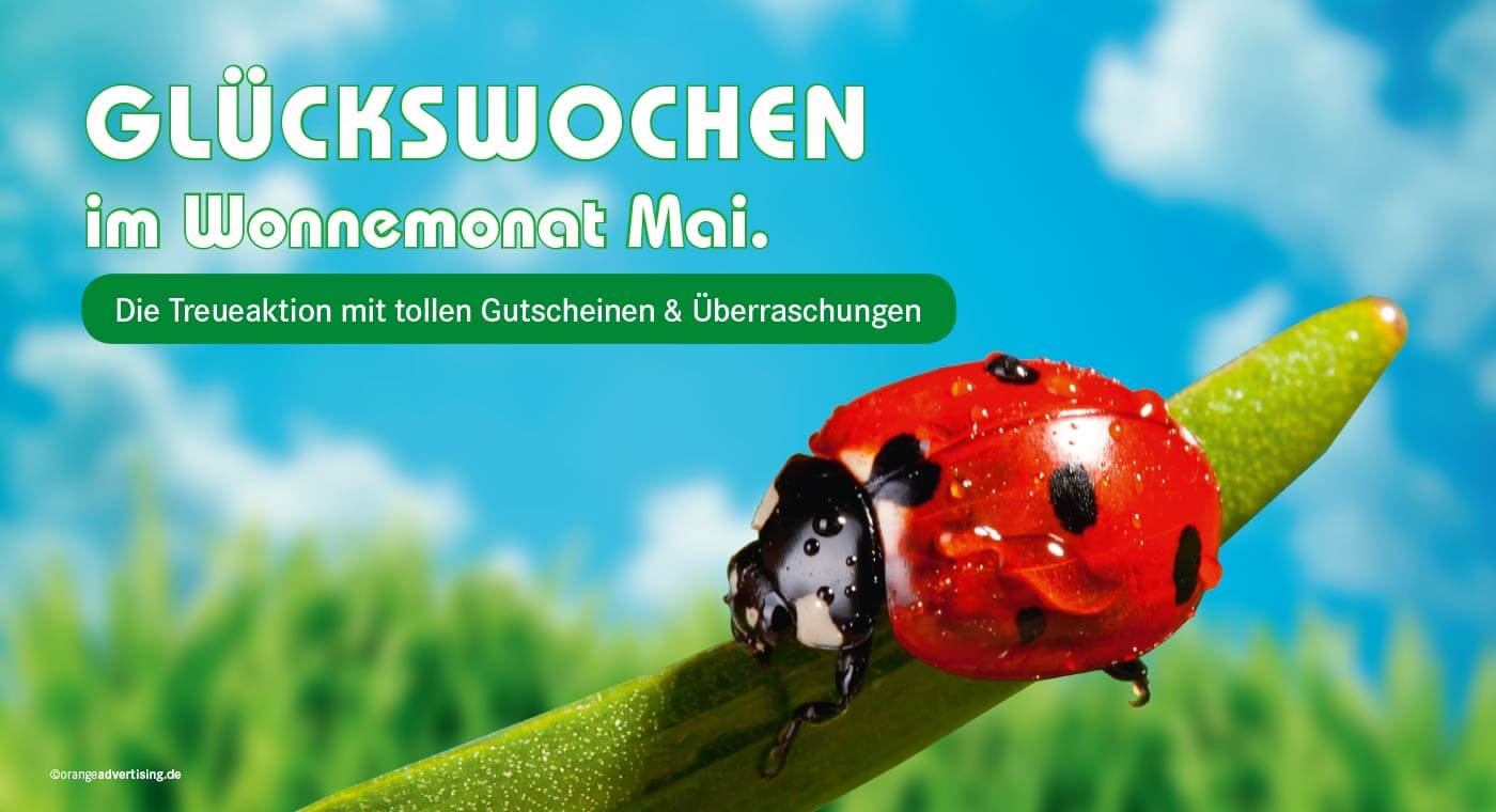 Mailing mit Marienkäfer – Glückswochen im Mai
