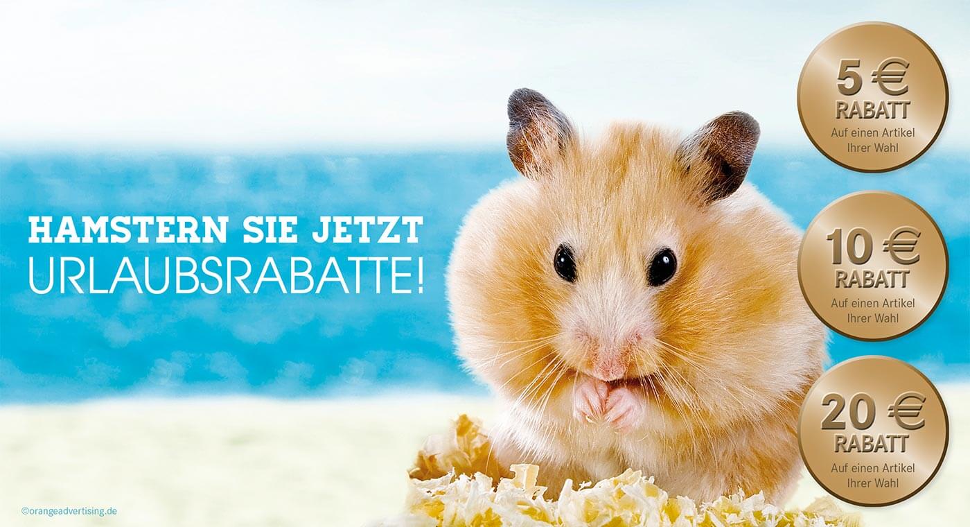 Mailing mit Hamster – Urlaubspreise im Sommer