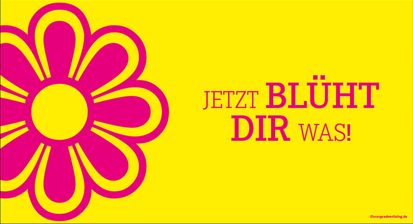 Mailing zum Frühling – Jetzt blüht dir was