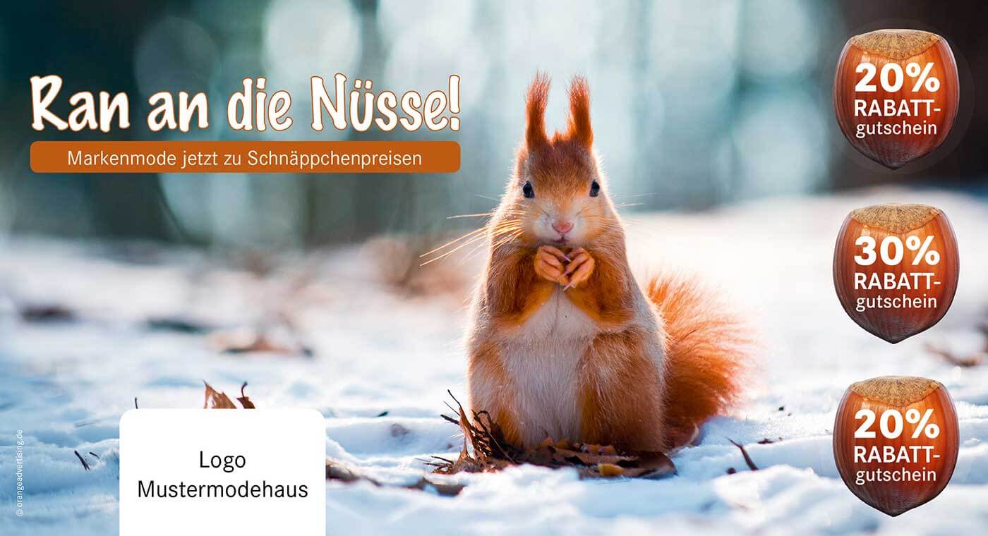 Mailing Eichhörnchen Ran an die Nüsse